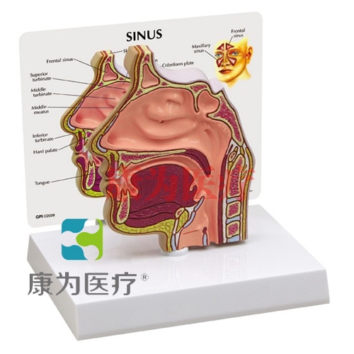醫(yī)患關(guān)系溝通模型,醫(yī)藥促銷(xiāo)禮品