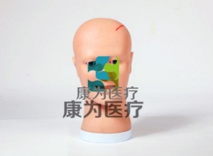 “康為醫(yī)療” 腦室引流護(hù)理模型, 腦室引流術(shù)后護(hù)理操作模型,側(cè)腦室穿刺引流術(shù)仿真訓(xùn)練模型。
