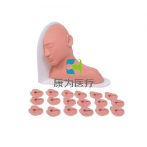 “康為醫(yī)療”高級(jí)耳部檢查模型,高級(jí)耳部檢查模型（14種、19種、25種病變）