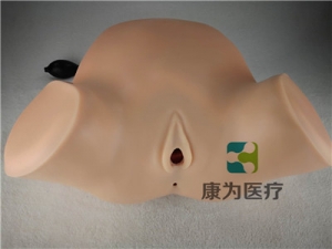 高端產(chǎn)科四步觸診、肛查、陰道檢查訓(xùn)練模型